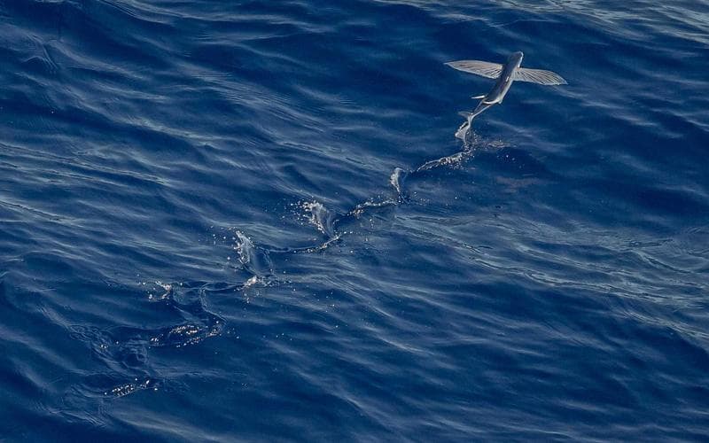 The State Management Paradox