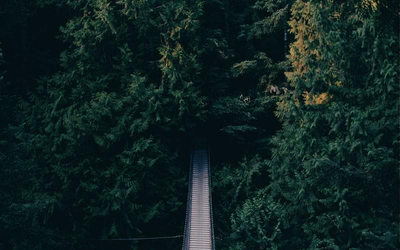 The Return of Progressive Enhancement