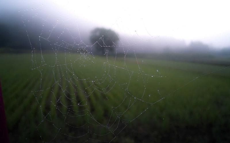 OWASP Top 10: Still Relevant, Still Ignored