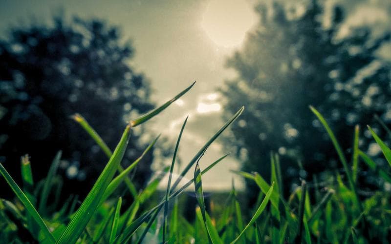 Dependency Auditing Without Alert Fatigue