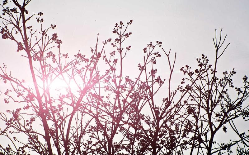 Understanding Event Loops Across Runtimes