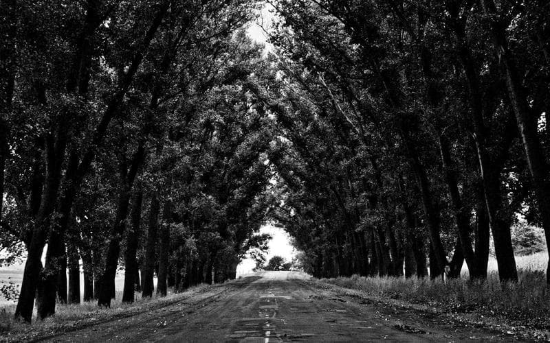 Learning in Public: A Two-Year Retrospective