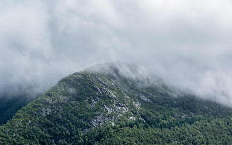 Testing Strategies for Systems That Evolve