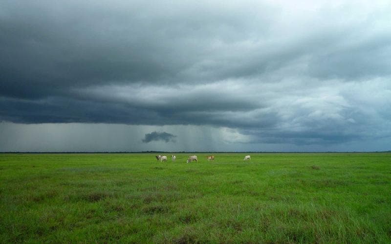 Burnout, Recovery, and Sustainable Engineering