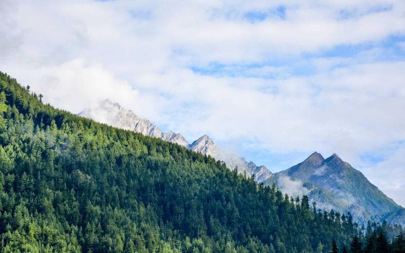 Message Queue Patterns for Reliable Processing